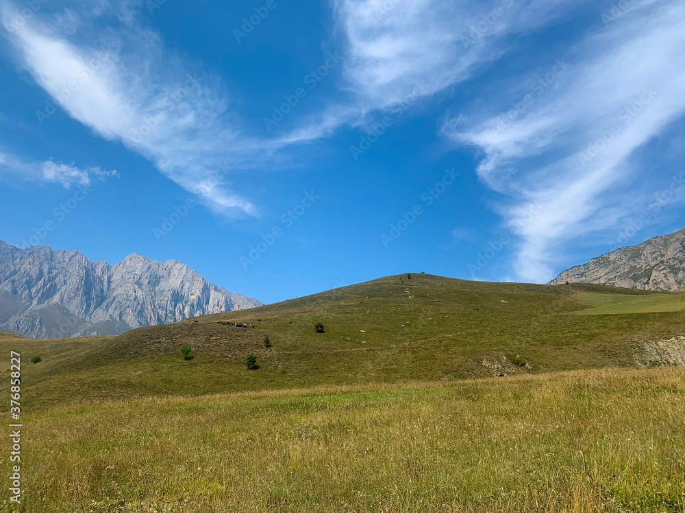 Fields in the mountains, natural colors, mountains background