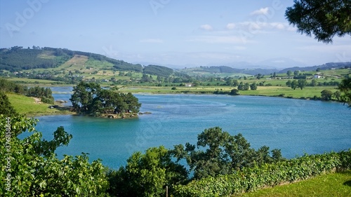 A calm river runs through a grove