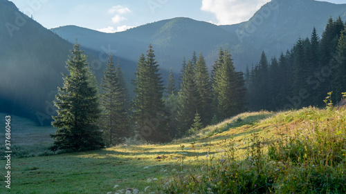 Fototapeta Naklejka Na Ścianę i Meble -  Morning scenery of Tatra mountains during summer time in Poland.