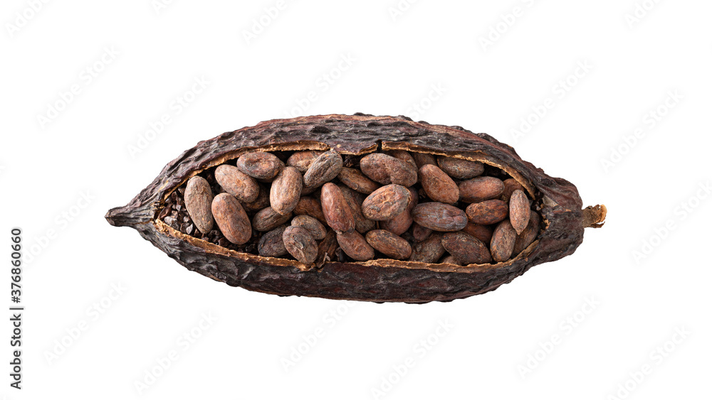Cocoa pod with cocoa beans isolated on white background. Organic food. Natural chocolate. Top view. chocolatier, confectionery. Close up Cocoa pod with cocoa beans isolated on white background. Organic food. Natural chocolate. Top view. chocolatier, confectionery. Close up