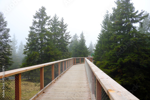 Suspended footbridge for walking on a foggy morning.