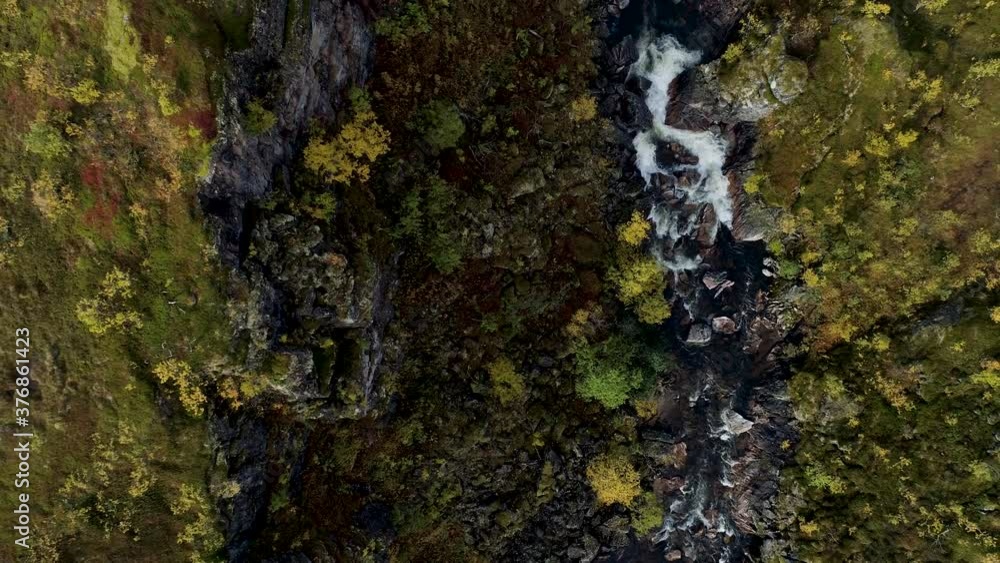 Aerial view rising above rapids, in middle of autumn color forest, sunny, fall day, near Skaland, in Senja, Norway - Birdseye, drone shot Aerial view rising above rapids, in middle of autumn color forest, sunny, fall day, near Skaland, in Senja, Norway - Birdseye, drone shot