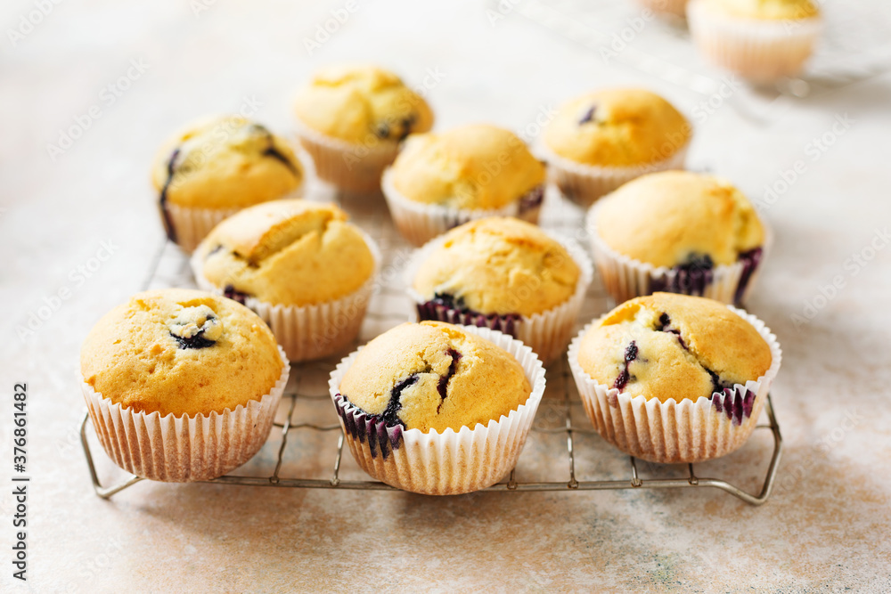 Freshly baked homemade blueberry muffins on a cooling rack. Selective focus. Freshly baked homemade blueberry muffins on a cooling rack. Selective focus.