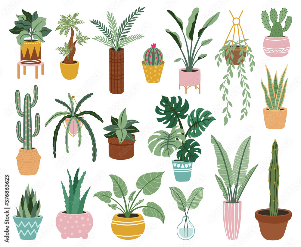 Fototapeta Home potted plants. Houseplants in plant pots, flower potted plant, green leaves interior decoration isolated vector illustration icons set. Ceramic containers and vase with aloe, cactus
