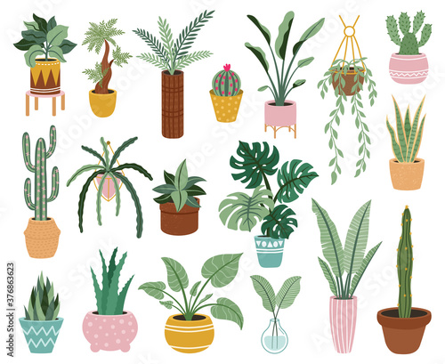 Home potted plants. Houseplants in plant pots, flower potted plant, green leaves interior decoration isolated vector illustration icons set. Ceramic containers and vase with aloe, cactus