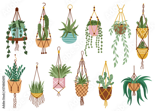 Plant in hanging pots. Houseplant hang on rope, decorative indoor plants, macrame flower pots, home potted plants vector illustration icons set. Handmade hangers for flower decoration