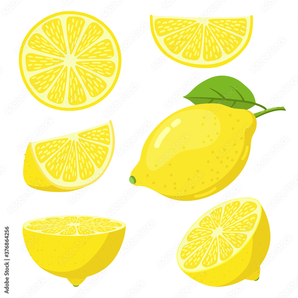 Lemon slices. Citrus fruit slice, juicy yellow lemons, sliced fresh lemons, vitamin c vegetarian ripe citrus fruits vector illustration set. Whole, cut in half and pieces for lemonade drink