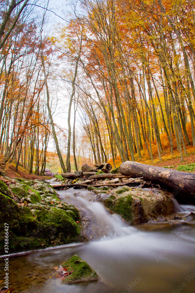 Obraz premium waterfall in the forest