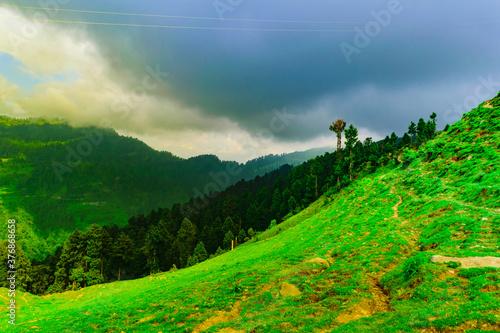 View of alpine meadows & coniferous enroute to Prashar Lake trekk trail. It is located at a height of 2730 m above sea level surrounded by lesser himalayas peaks near Mandi, Himachal Pradesh, India. photo