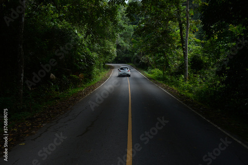 Road in Khao Yai National Park in Thailand