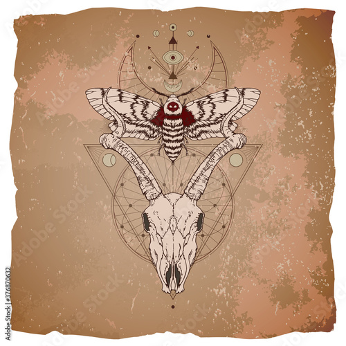 Vector illustration with hand drawn antelope skull, dead head moth and Sacred geometric symbol on vintage paper background with torn edges.