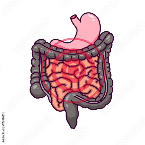 Digestive organs in cartoon style with pulsating circles for pain.Intestines and stomach of a person.Isolated on a white background there is a place for an inscription