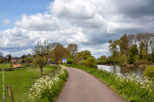 Rural road on a dike along the Linge river in springtime, with flowering cow parsley, in the background a small village © Roel