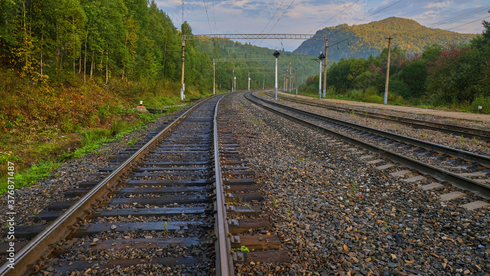Fototapeta premium Railway tracks go into the forest after the rain 