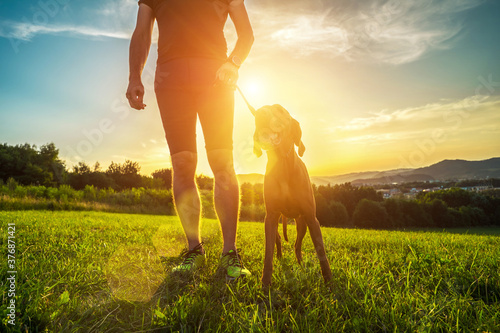 Silhouettes of runner and dog on field under golden sunset sky in evening time. Outdoor running. Athletic young man with his dog are running in nature. 