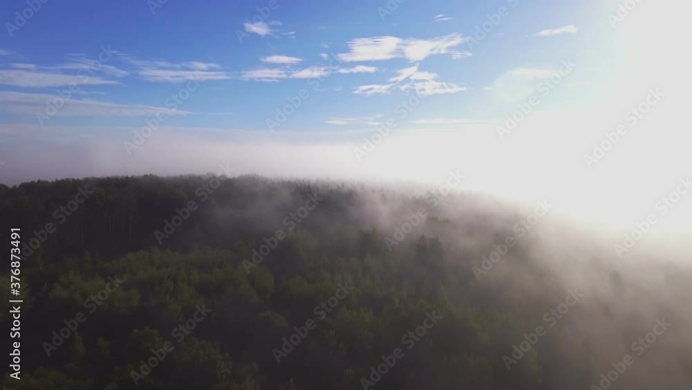 Forest Surrounded By Morning Fog Illuminated By Sunrise Rays. Aerial Dolly In Forest Surrounded By Morning Fog Illuminated By Sunrise Rays. Aerial Dolly In