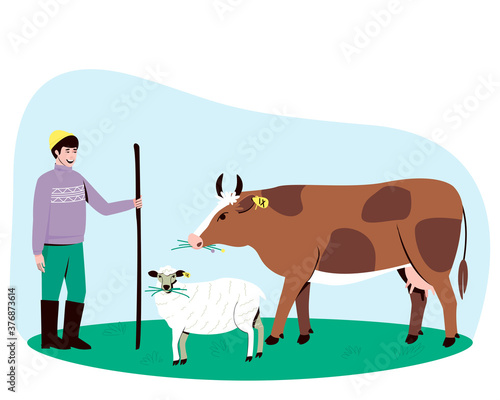 A shepherd leads a cow and a sheep to the pasture. The cow and the sheep chews the grass. Big horned cattle. In the summertime, pets are walked in a field with lush grass. Flat vector illustration.