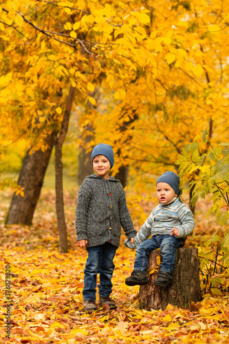 Children in yellow and gold autumn forest. Two little brothers on a wooden stump in fall park. Family walk outdoor. Friendly relationship in family. Cozy and warm knitted sweaters