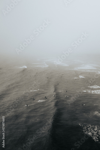 sea - mer - surfer - surfeur - ocean