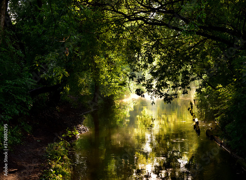 Morning sun rays make their way through the green foliage of the trees. Haze over water on a lake or river. Nature or travel concept