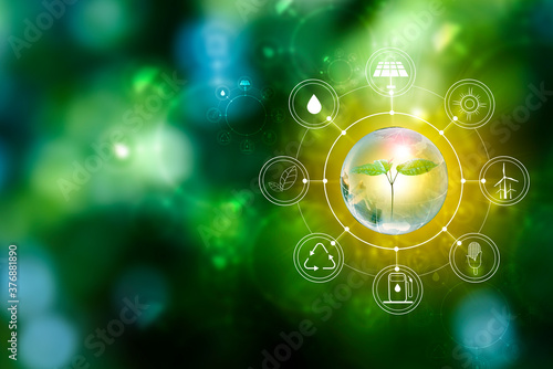 Renewable energy concept Earth Day or environment protection Hands protect forests that grow on the ground and help save the world.