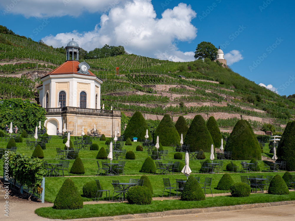 Weingut mit Parkgarten in Sachsen