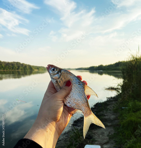 fish in hand
