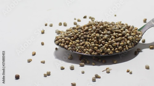Pearl millet with selective focus