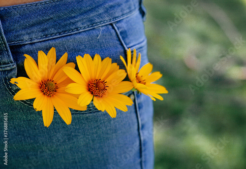 flower in the pocket of jeans