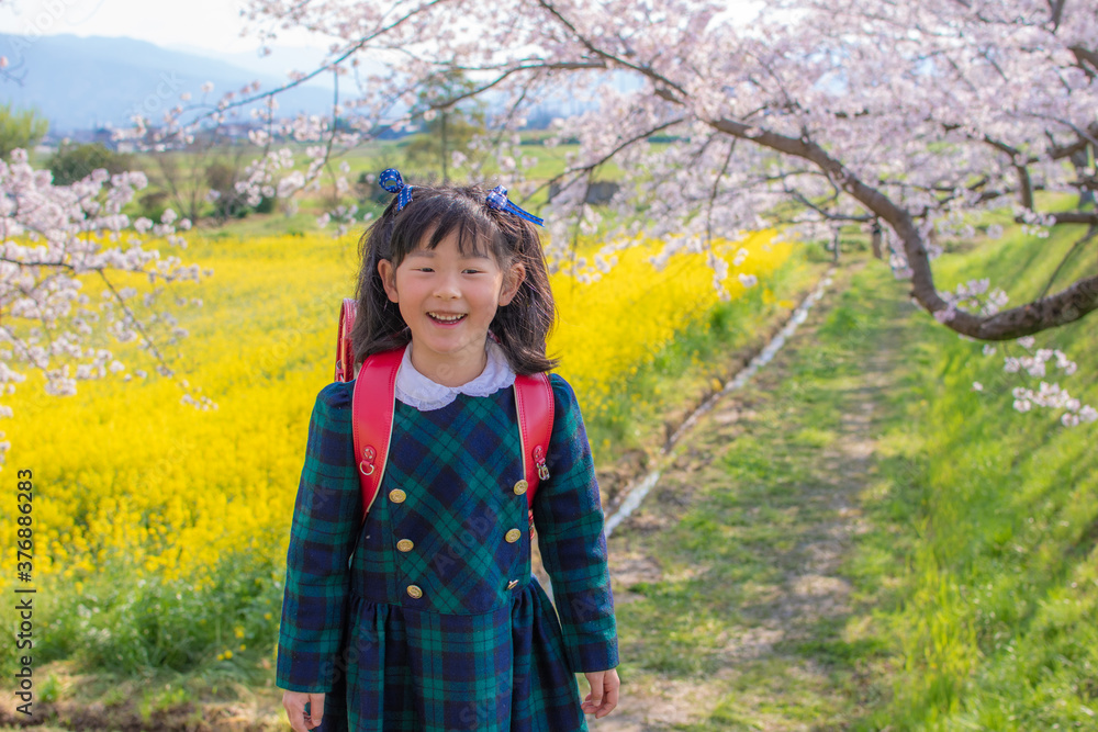 新一年生と桜 新一年生と桜