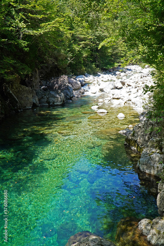 夏の阿寺渓谷