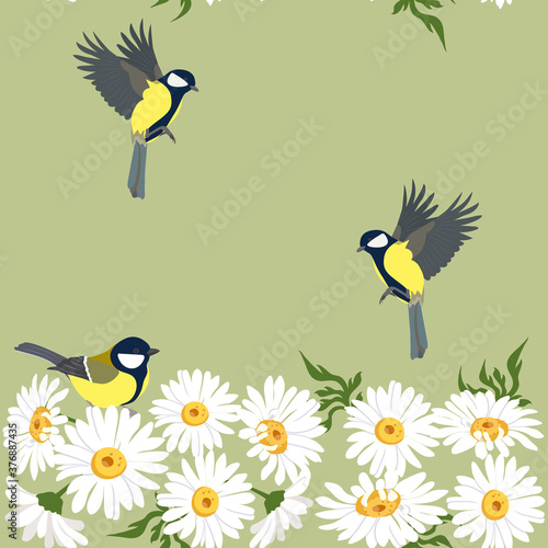 Seamless vector beautiful, summer illustration with chamomile and titmouse