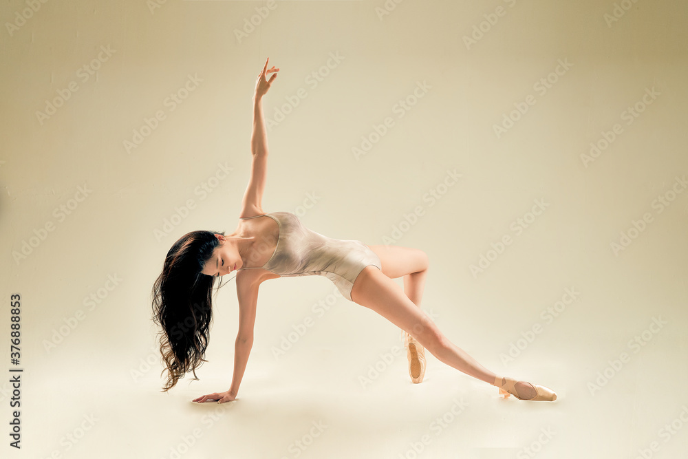 Fototapeta premium 포즈,여성, 女, 드레스, 미, 자세, 체형, 춤,댄스, 춤사위,동작, 신부, 유행, beautiful, 인물사진, 사람, 글래머, 포즈, 우아한 , 여자, women, girl, 아가씨, 긴머리, 여성, 섹시, 프로필, 흰피부, 무용, 발레리나, 무용수, 필라테스, 요가, 무표정, 소녀,발레
