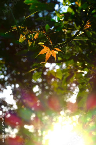 Herbstzeit