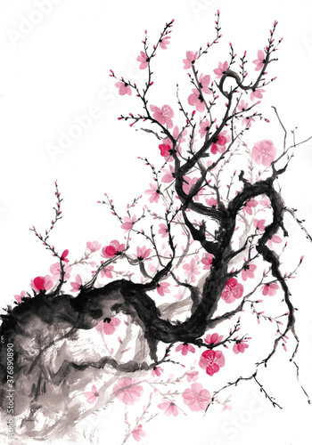 Blooming plum branch japanese ink painting photo