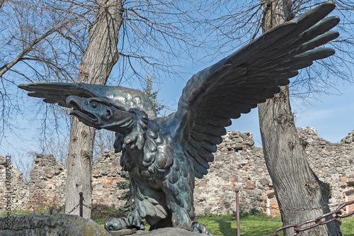 Turul (mythological bird of prey, the national symbol of Hungary) bronze eagle statue in the courtyard of the Medieval Uzhhorod Castle, Ungvar, in Ukraine photo