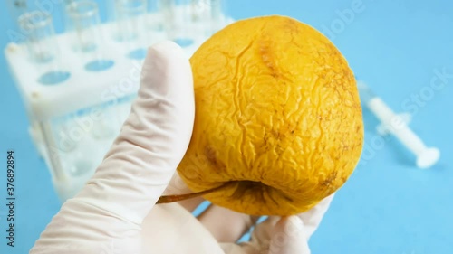 apple in genetic engineering laboratory with syringe and test tubes on blue background, gmo food concept
