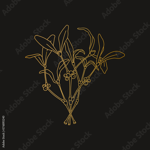 Gold mistletoe brunch with berries in doodle line style. Christmas traditional symbol. Vector illustration isolated on black background. 