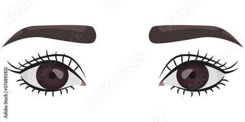Brown female eyes. Part of face in cartoon style.