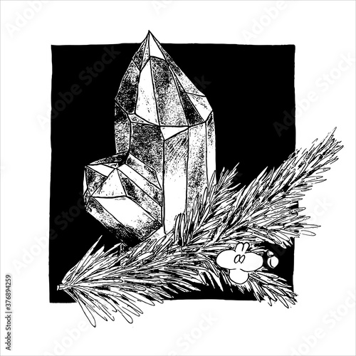 Hand-drawn graphic black and white crystal with fir tree branch and flower. Semiprecious gem stone with twig of Christmas tree and little simple flower on square background. Witch magic element © citrum_nobile