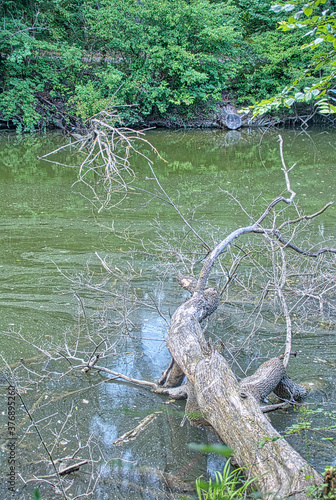 oberes Heustadlwasser