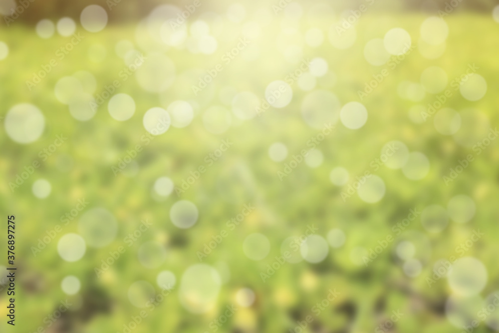 Bokeh blurry with yellow flower background Bokeh blurry with yellow flower background