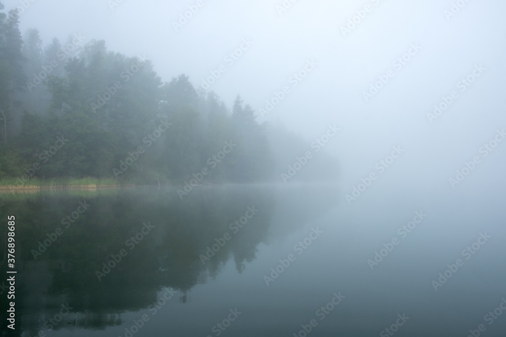 trees captured from a canoe at a misty lake trees captured from a canoe at a misty lake