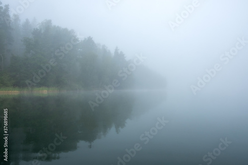 trees captured from a canoe at a misty lake