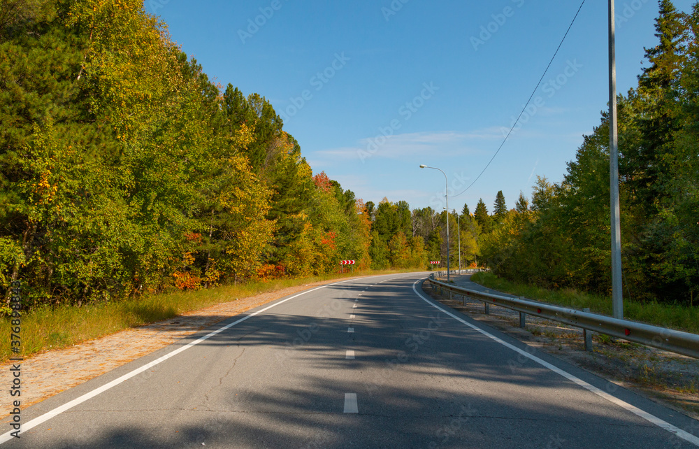 A two-lane highway winds through an autumn forest, green and yellow leaves, pine cones and fallen needles on the side of the road