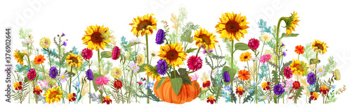 Horizontal autumn’s border: sunflowers, aster, thistles, gerbera, marigold, daisy flowers, small green twigs on white background. Digital draw, illustration in watercolor style, panoramic view, vector