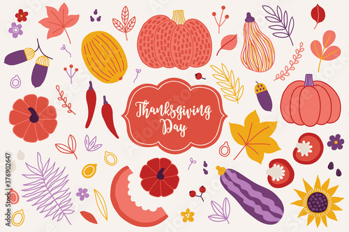Fototapeta Naklejka Na Ścianę i Meble -  Thanksgiving Day design elements - maple leaves, pumpkins, eggplant, pepper, flowers