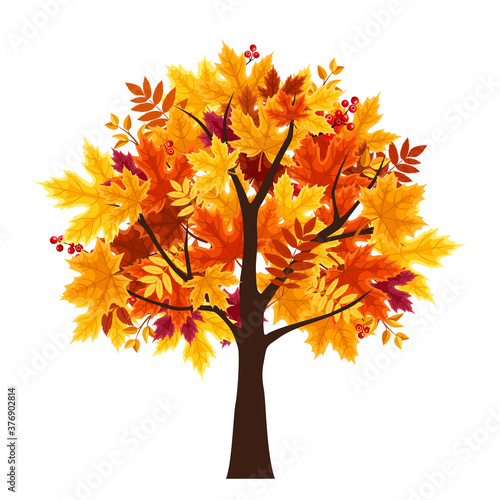 Vector abstract autumn tree isolated on a white background.