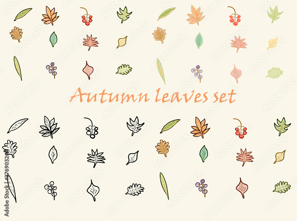 autumn leaves set watercolor and line style autumn leaves set watercolor and line style