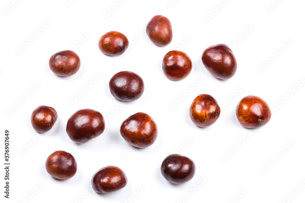 Autumn - Fresh chestnut fruits, Castanea, Horse-chestnut (Aesculus hippocastanum), close up Autumn - Fresh chestnut fruits, Castanea, Horse-chestnut (Aesculus hippocastanum), close up